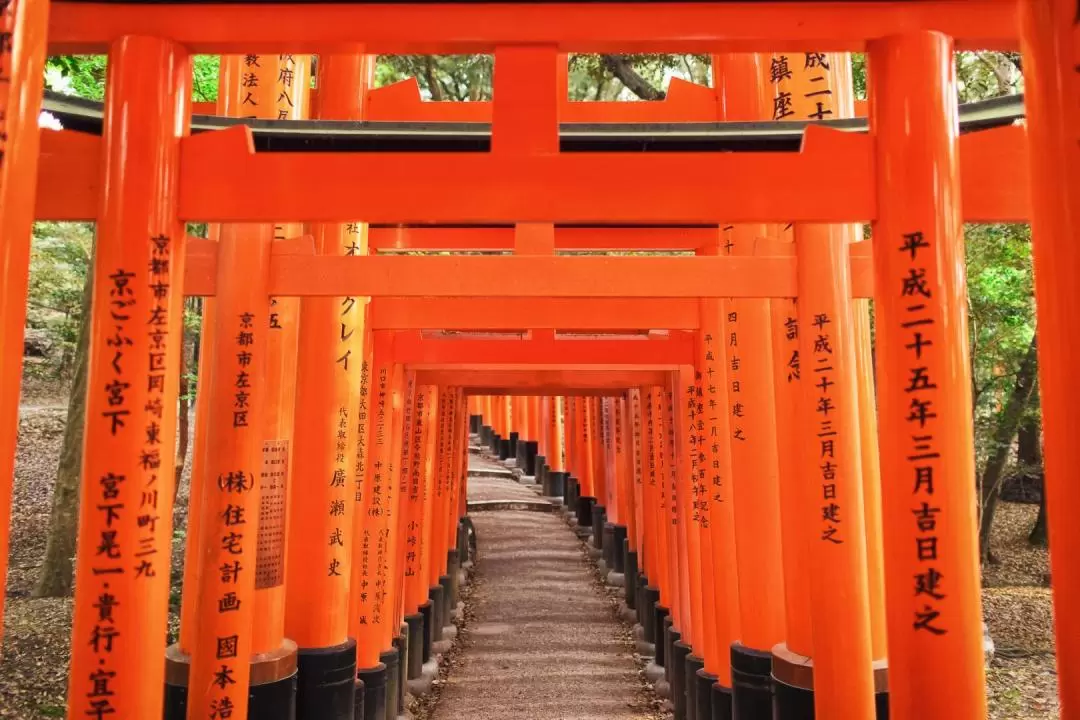 Kyoto｜Uji & Fushimi Inari Shrine & Arashiyama Bamboo Forest One-day Tour｜Osaka Departure