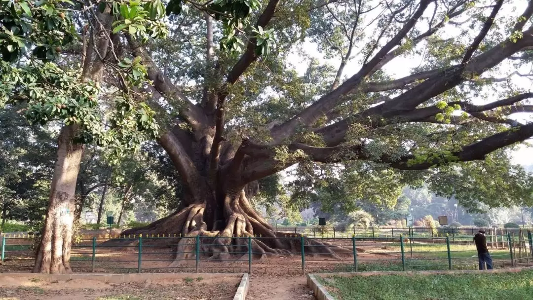 Bangalore Heritage Walk Into The History Of Tipu Sultan Fort And Palace