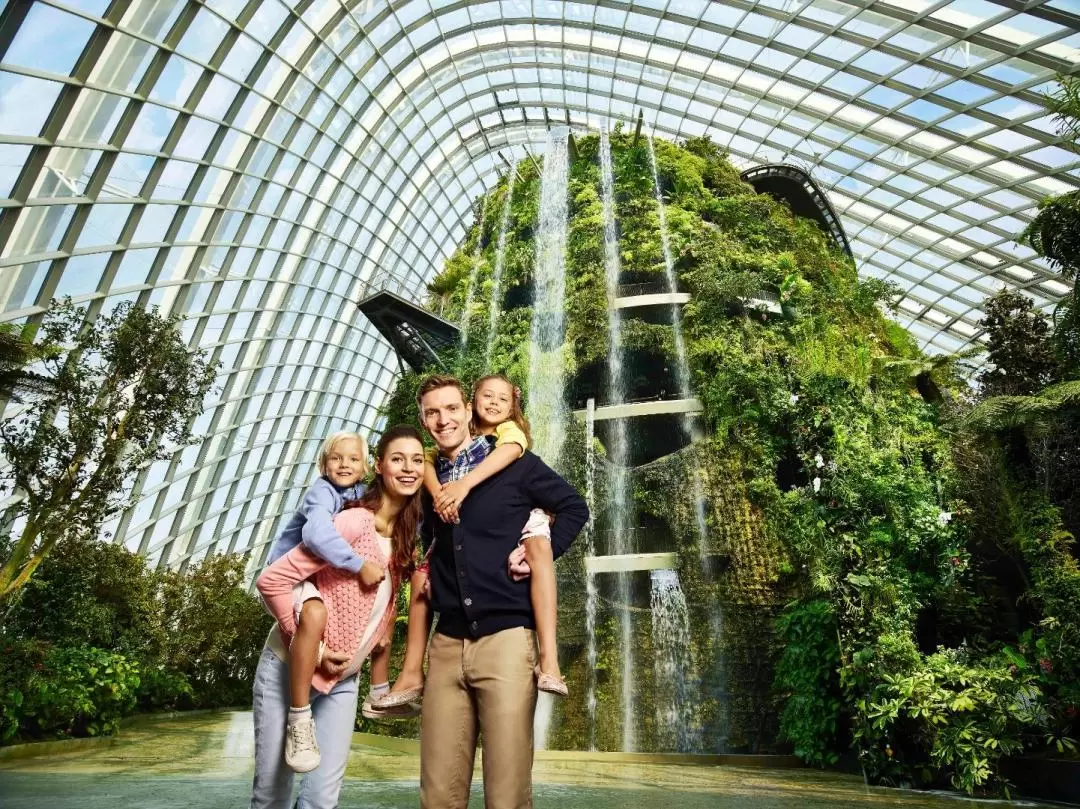 Singapore City Tour + Optional Gardens by the Bay / Singapore Flyer