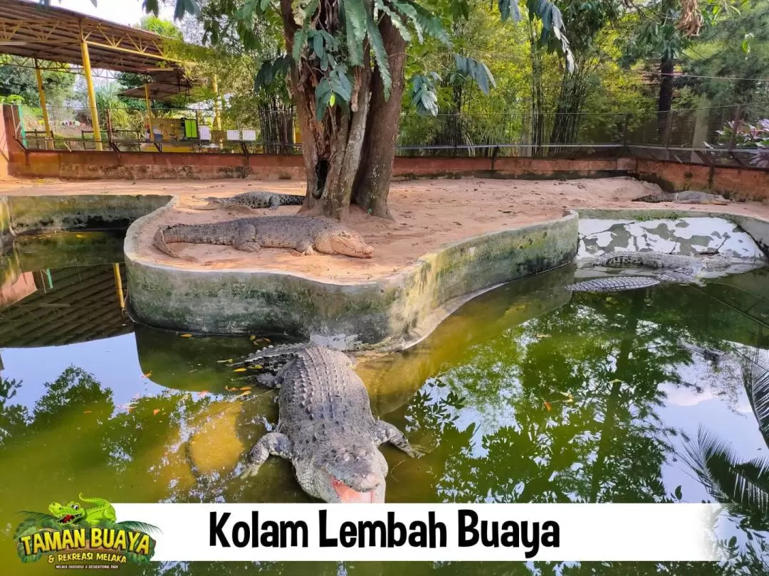 Melaka Crocodile and Recreation Park Ticket