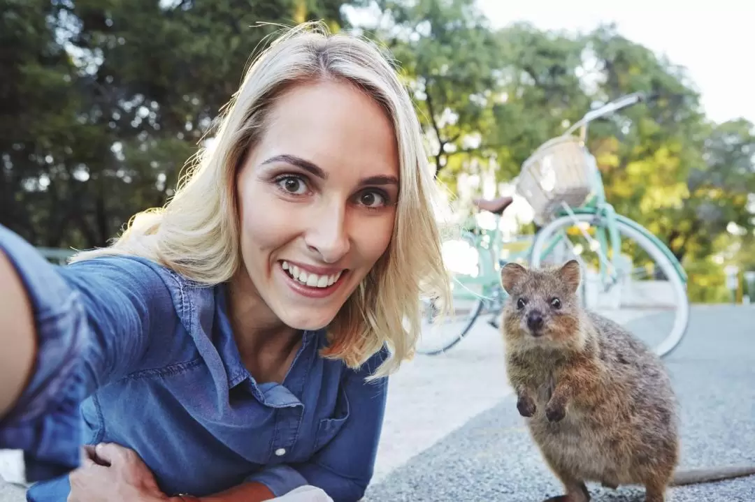 Rottnest Island Grand Island Bus & Train Tour