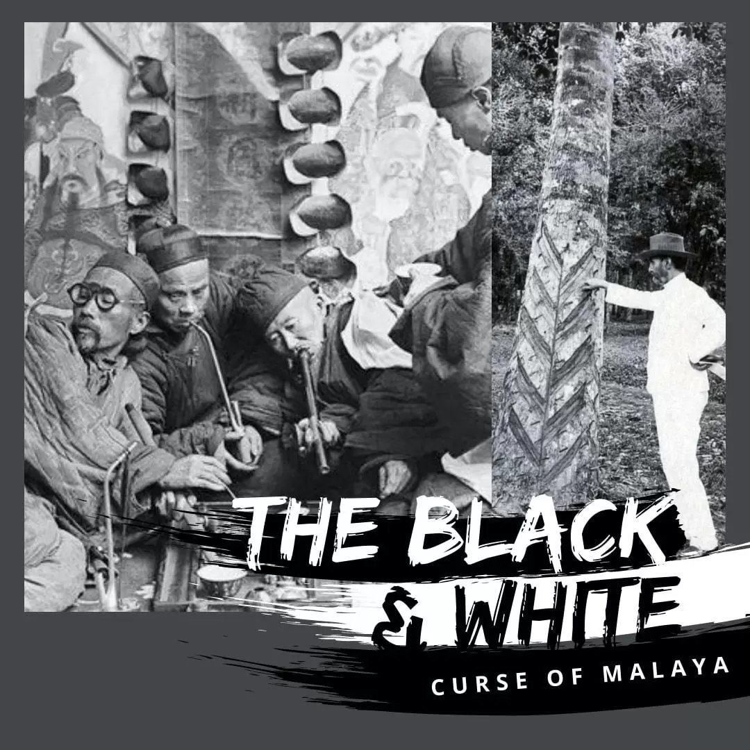 The Black and White Curse of Malaya