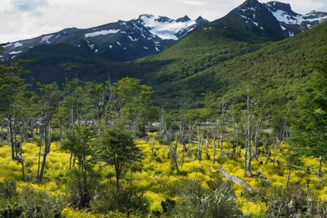 Ushuaia Tierra del Fuego National Park and End of the World Train Tour