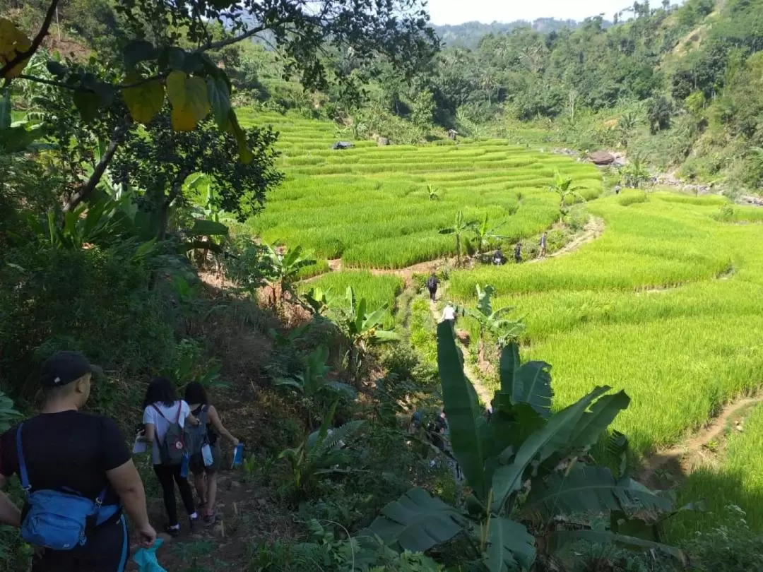 Curug Leuwi Hejo and Hutan Babakan Trekking in Bogor