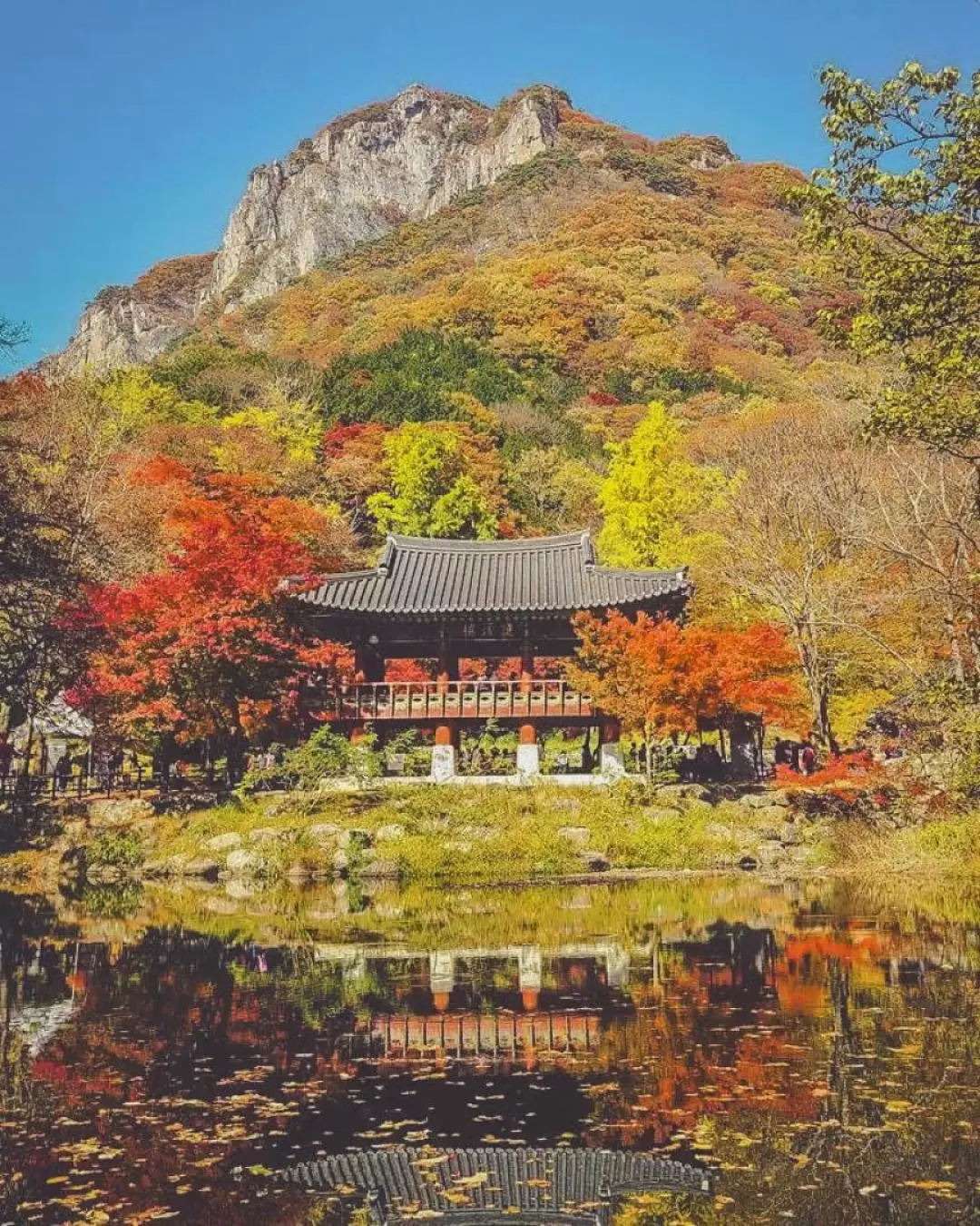 內藏山一日遊（首爾 / 釜山出發 & 可在釜山下車）