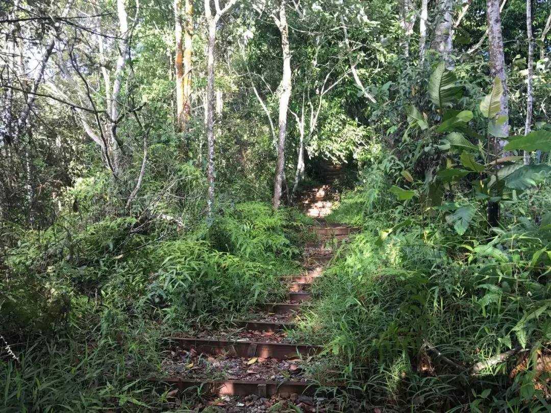 St. Veronica's Hill Sunrise Leisure Hike Morning Tour