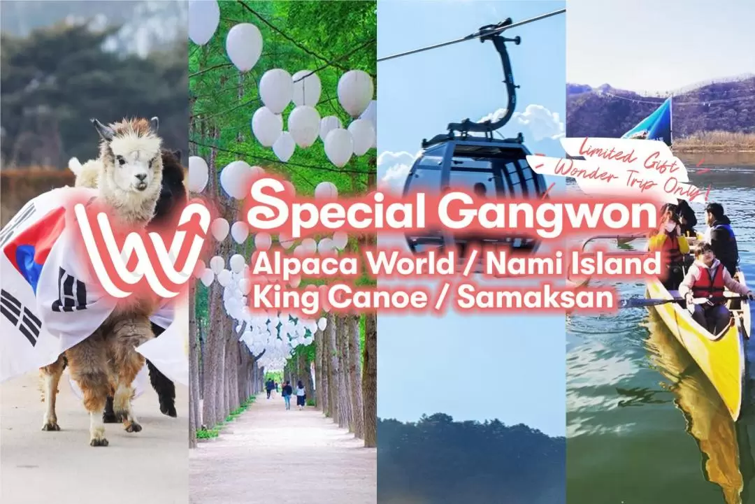 Nami Island, Alpaca World, Samaksan Cable Car, King Canoe Day Tour 