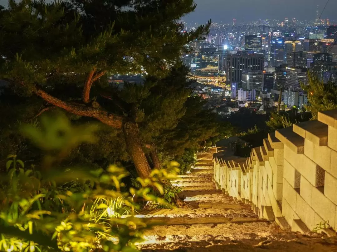 Seoul Mountain Hiking Experience