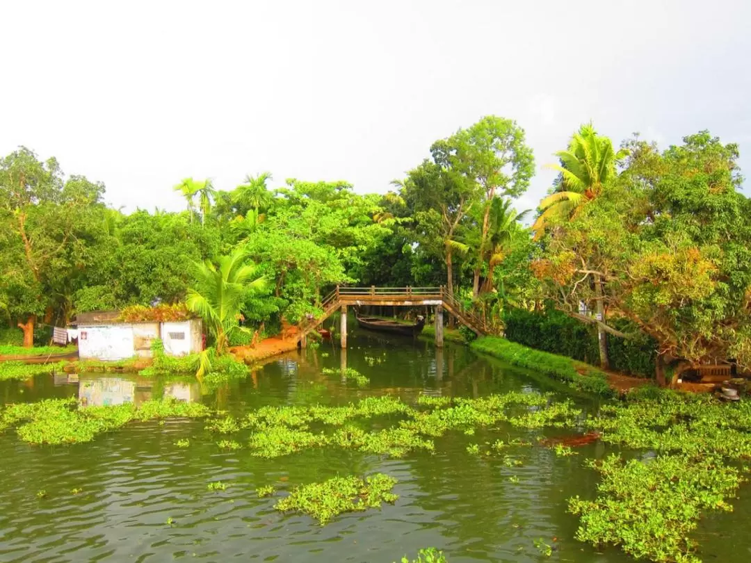 私人導覽 阿勒皮回水湖區（Backwater）船屋巡遊