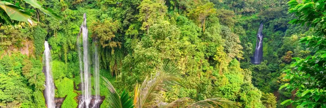 Sekumpul Waterfall Private Day Tour