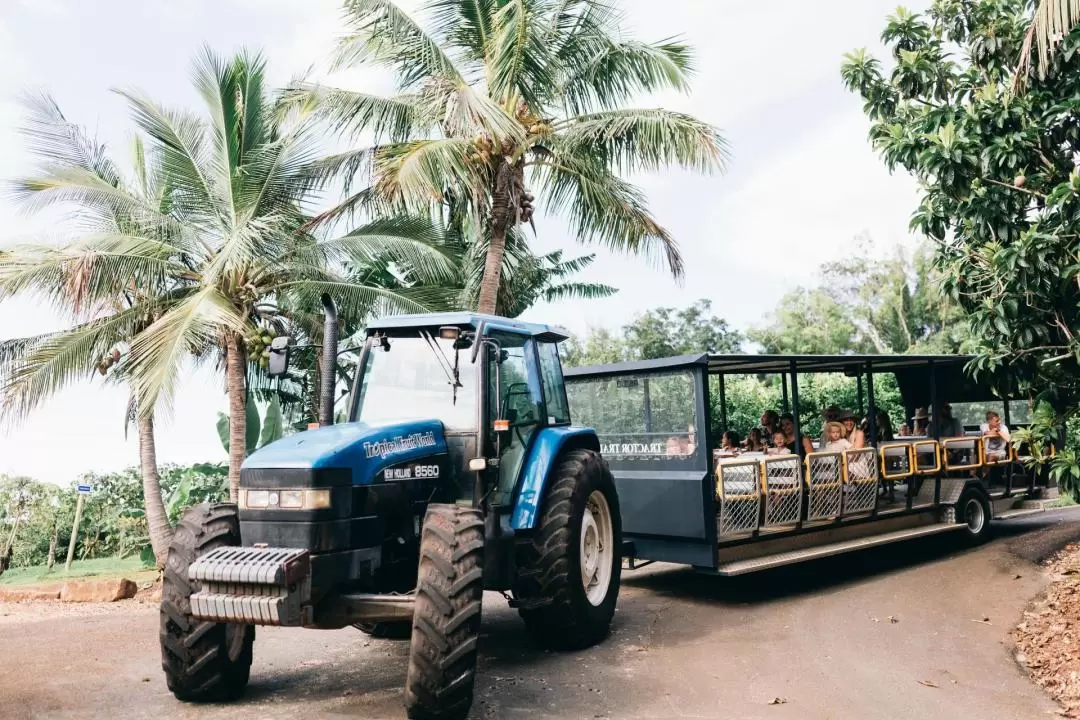 Tropical Fruit World Farm Tour