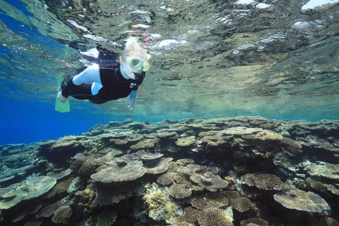 Kerama Island Snorkeling Experience