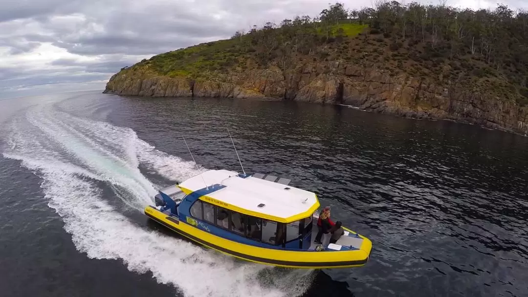 Iron Pot Lighthouse coastal eco-cruise from Hobart