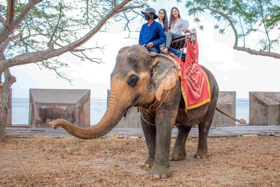 Sanctuary of Truth and Koh Larn Join Tour from Pattaya