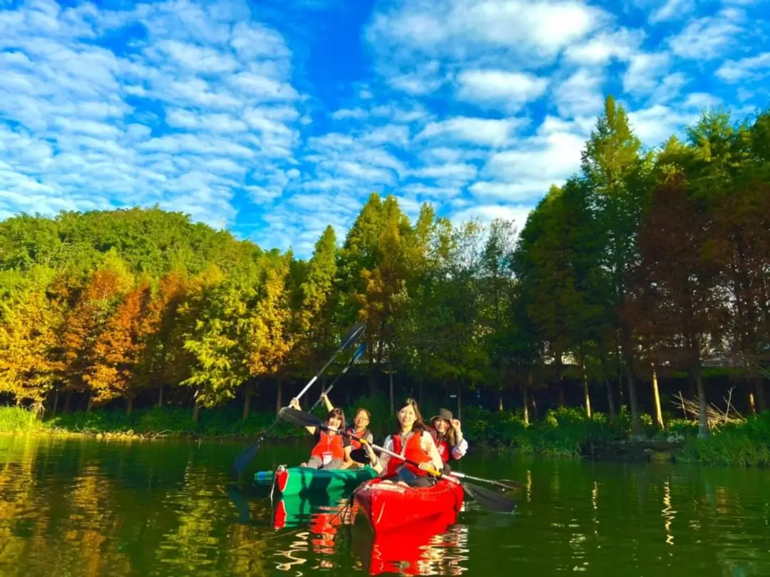 Sun Moon Lake Electric Boat, Canoe and Pedal Boat Experience in Nantou