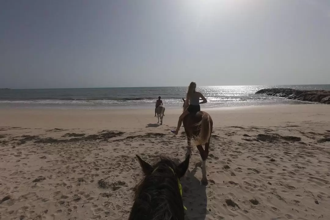 杰尔巴泻湖（Djerba Lagoon）骑马体验