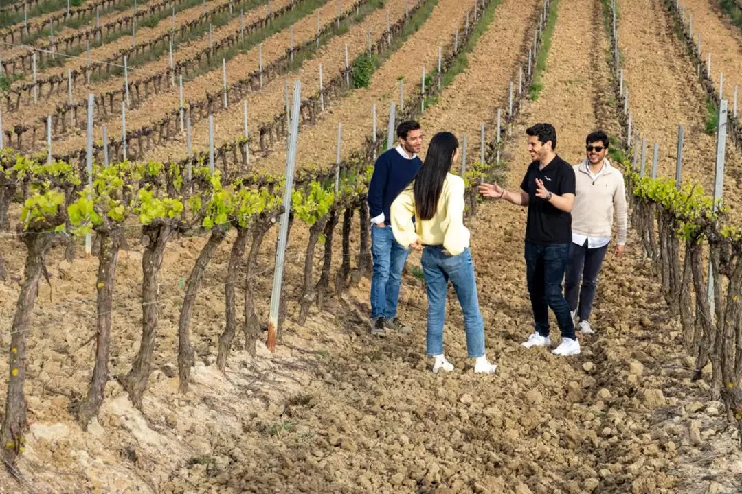 Wine Tour with 4WD Vineyards Experience in Lisbon 