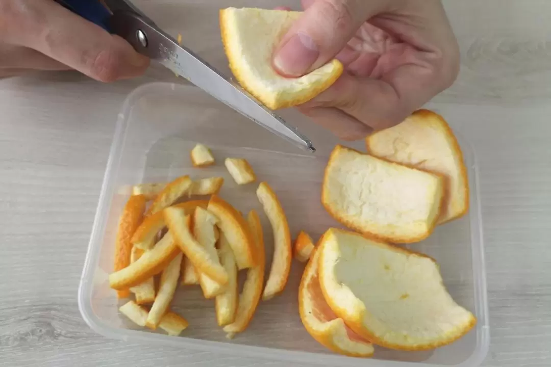 Singapore Orange Peels Upcycling Workshop by The Sustainability Project