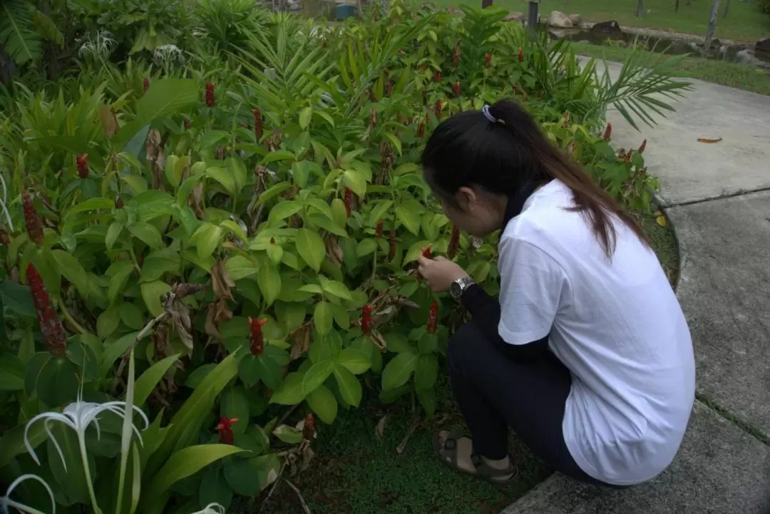 迪沙魯河濱花園徒步導覽