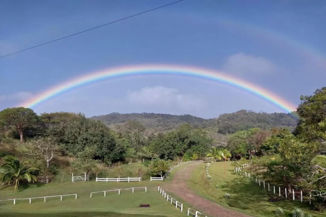  Vida Aventura Ranch Zipline, Horseback, and Thermal Pools Tour