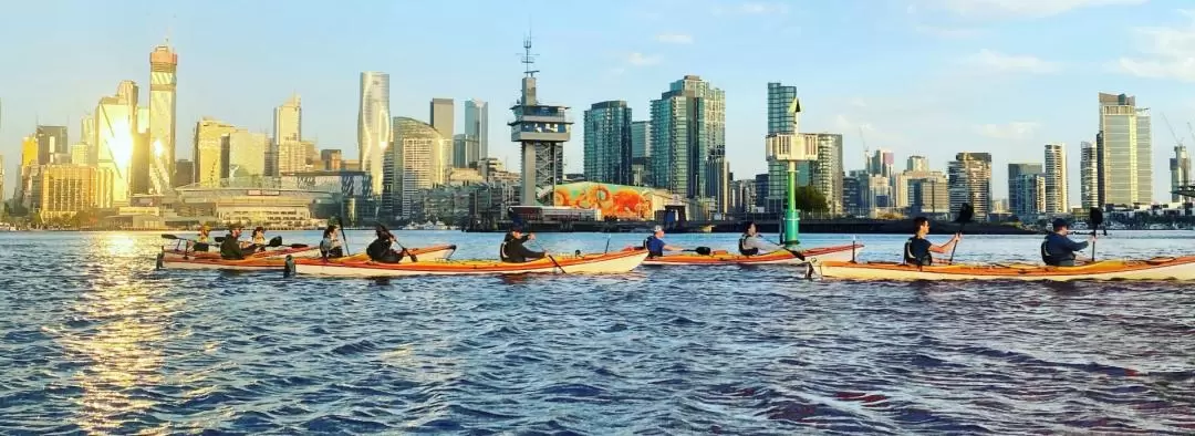 Moonlight City Sightseeing Kayak Experience in Melbourne