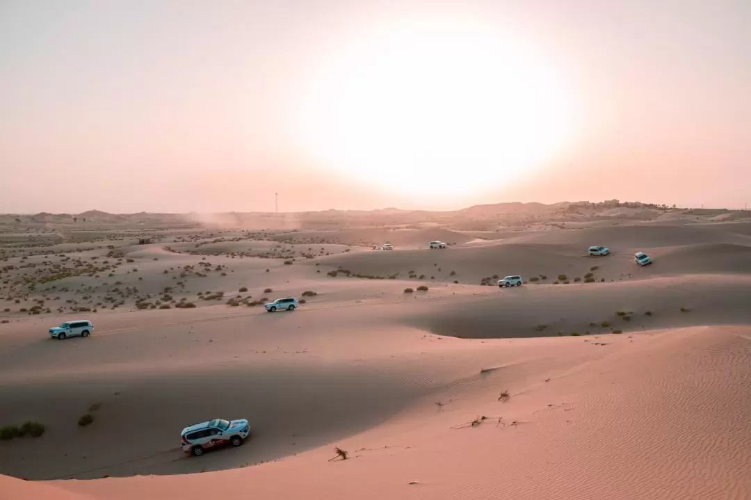Morning Desert Safari from Abu Dhabi
