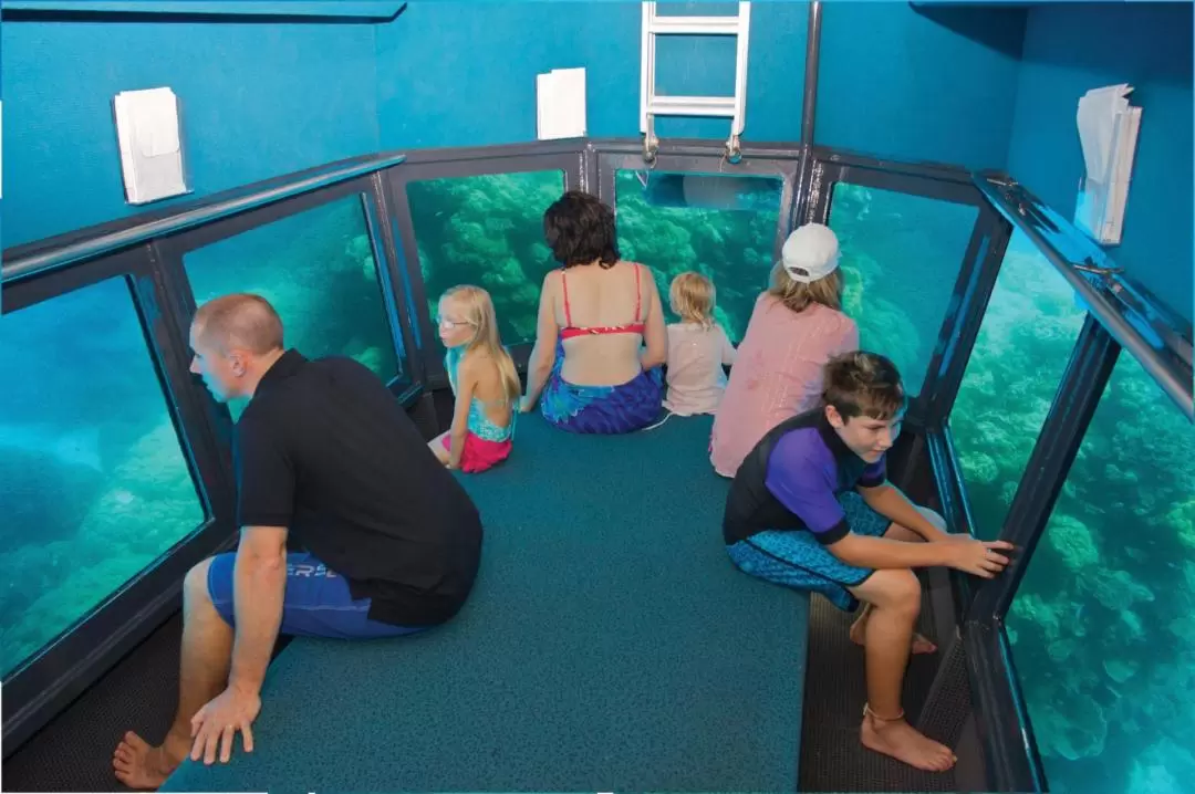 Great Barrier Reef Pontoon from Cairns including Snorkelling