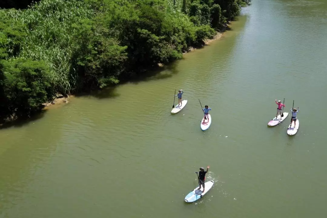 比謝川紅樹林SUP立式划槳體驗
