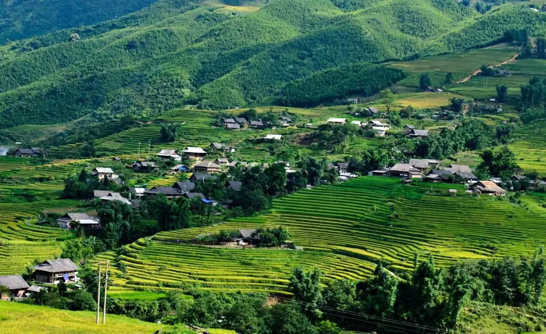 2D1N Sapa Tour from Hanoi Fanxipang Cable Car or Moana View (optional)