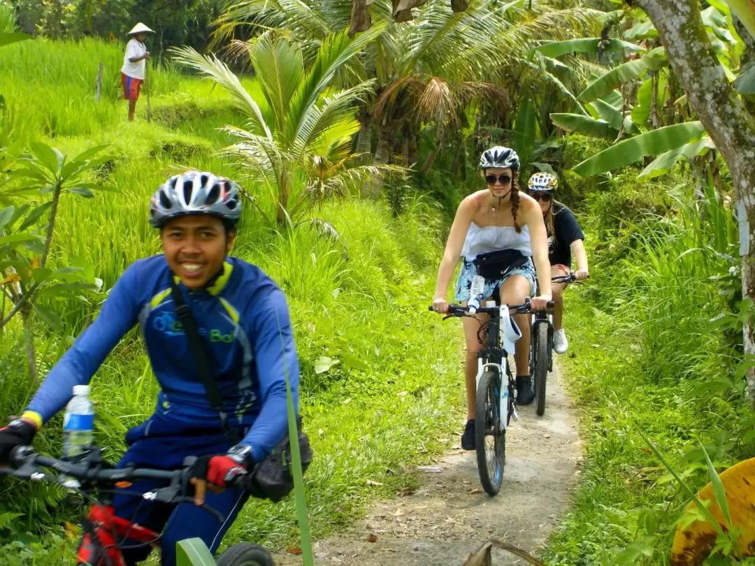 Electric Bicycle Tour in Bali