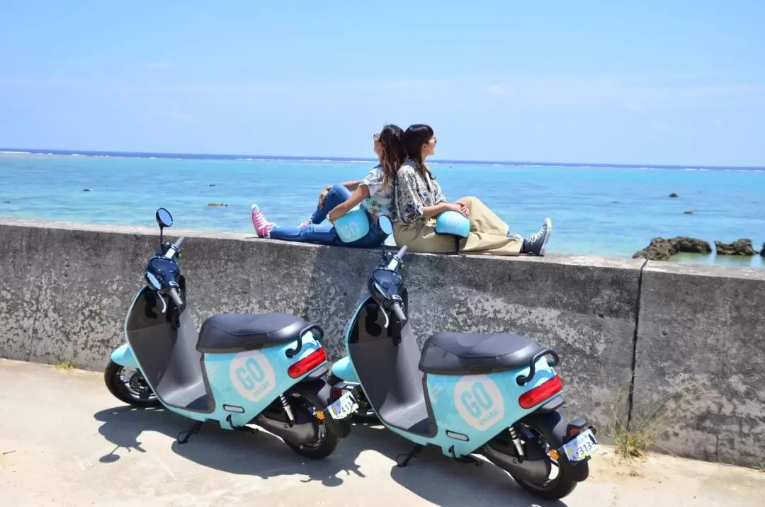 e-SHARE Electric Bike Rental for 1Day in Ishigaki Island