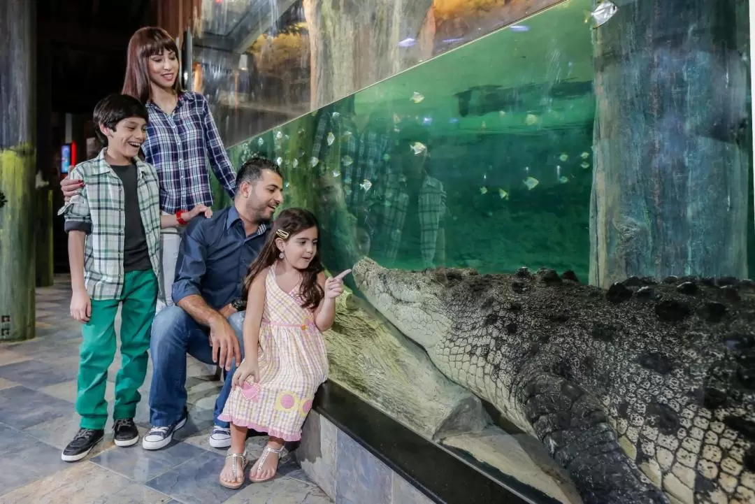 Dubai Aquarium and Underwater Zoo At Dubai Mall