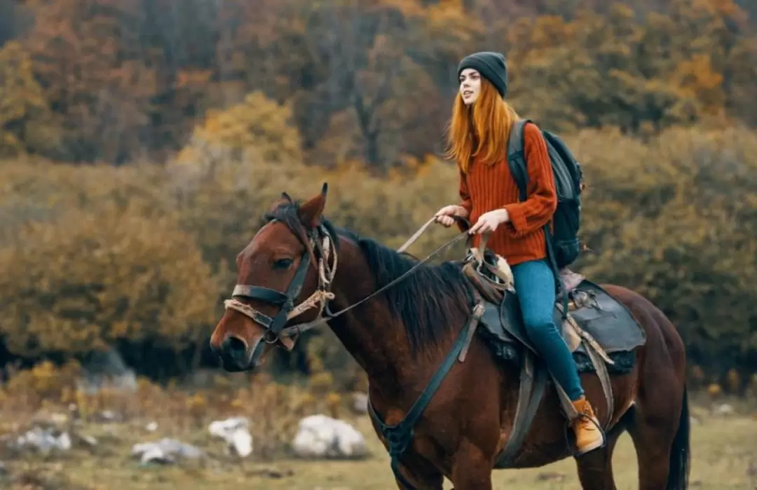 Siena Horseback Riding in Chianti Area