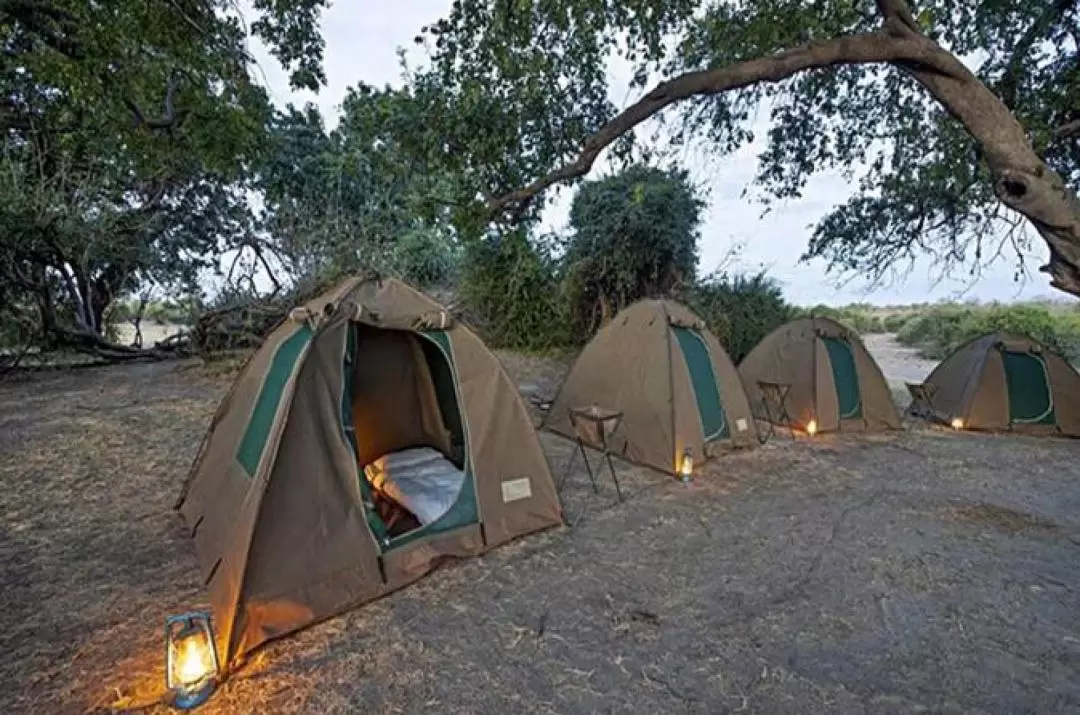 3-Day Chobe National Park Camping Tour in Kasane