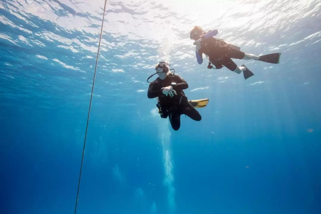 Beginners Scuba Diving Experience in Fujairah 