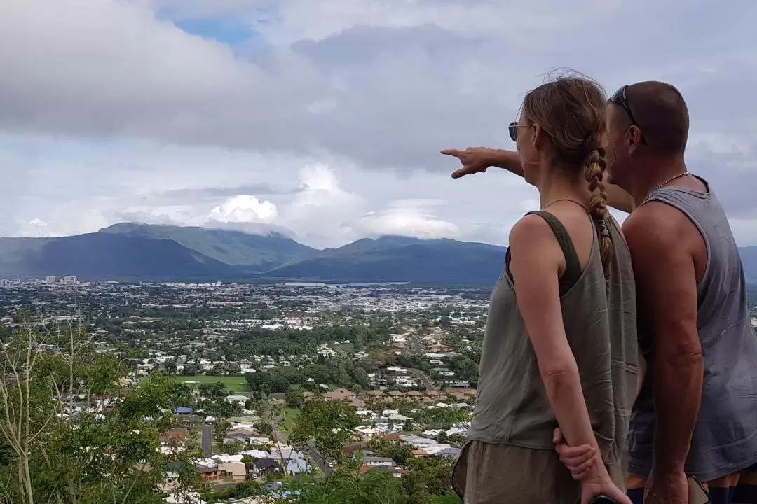 Cairns Aquarium Turtle Hospital and City Sightseeing Tour