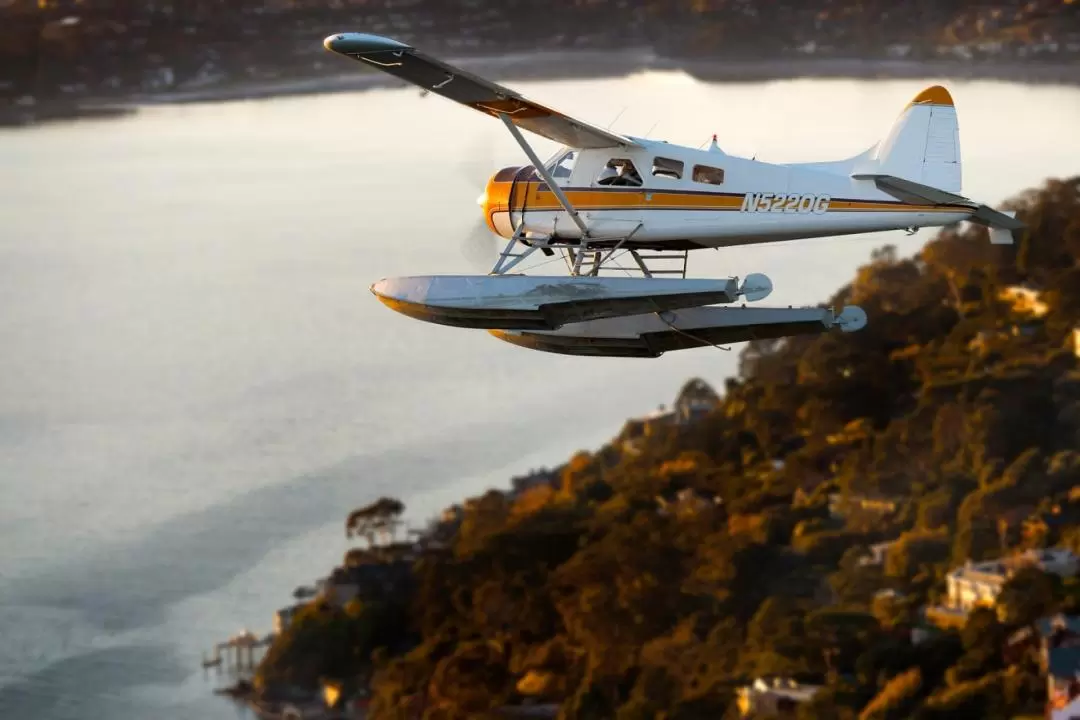 Norcal Coastal Seaplane Tour