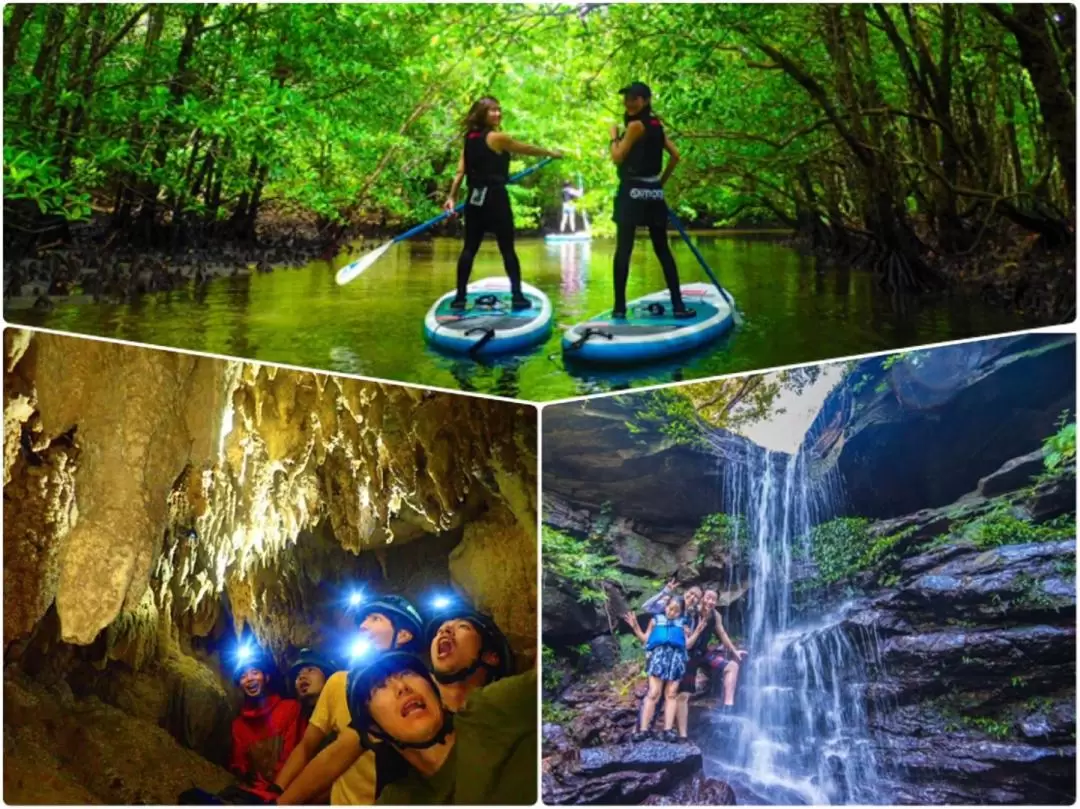 SUP or Canoe at Mangrove Forest and Explore Limestone Cave