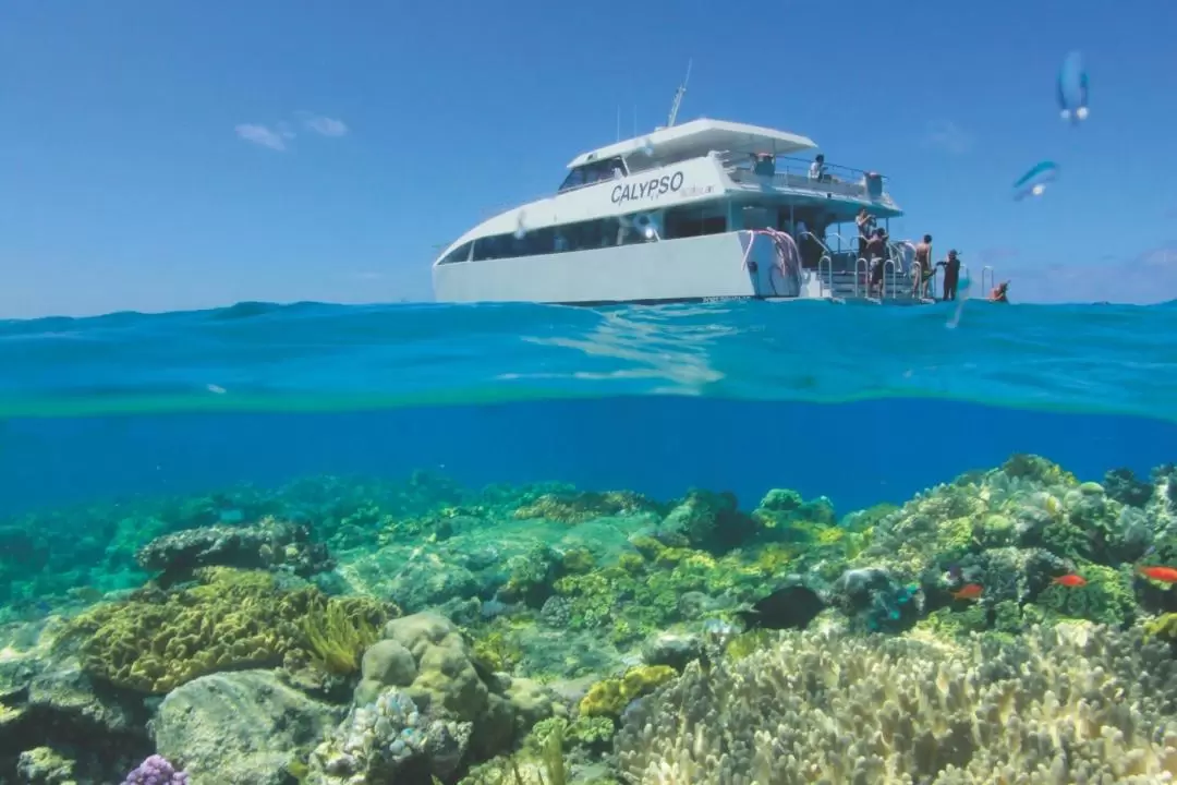 Low Isles Snorkeling Experience from Port Douglas