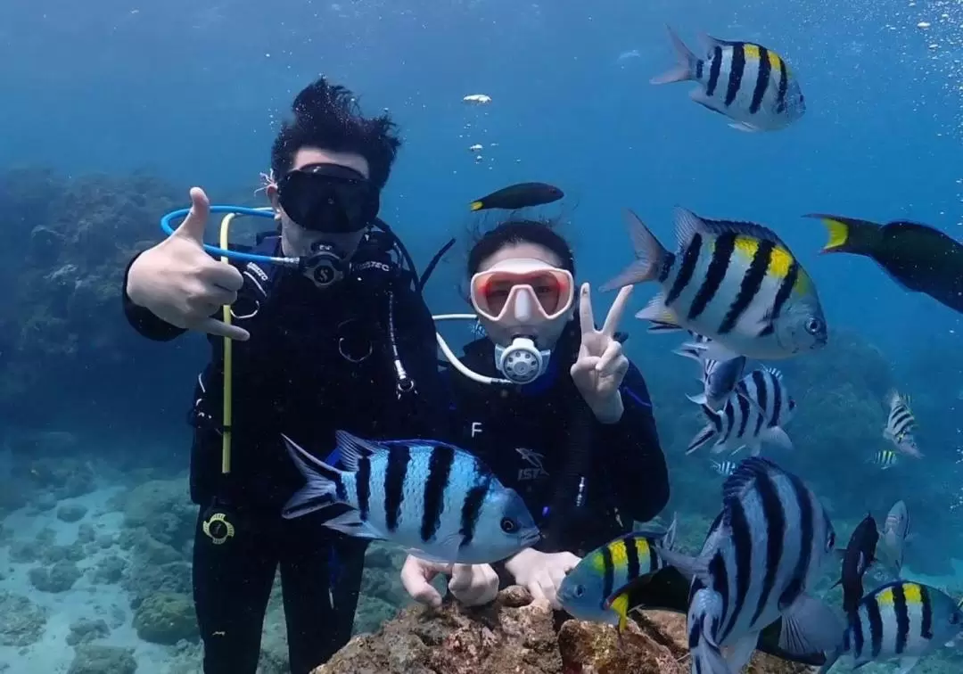 Try Diving, Fun Dive & OW Diver Course in Kending