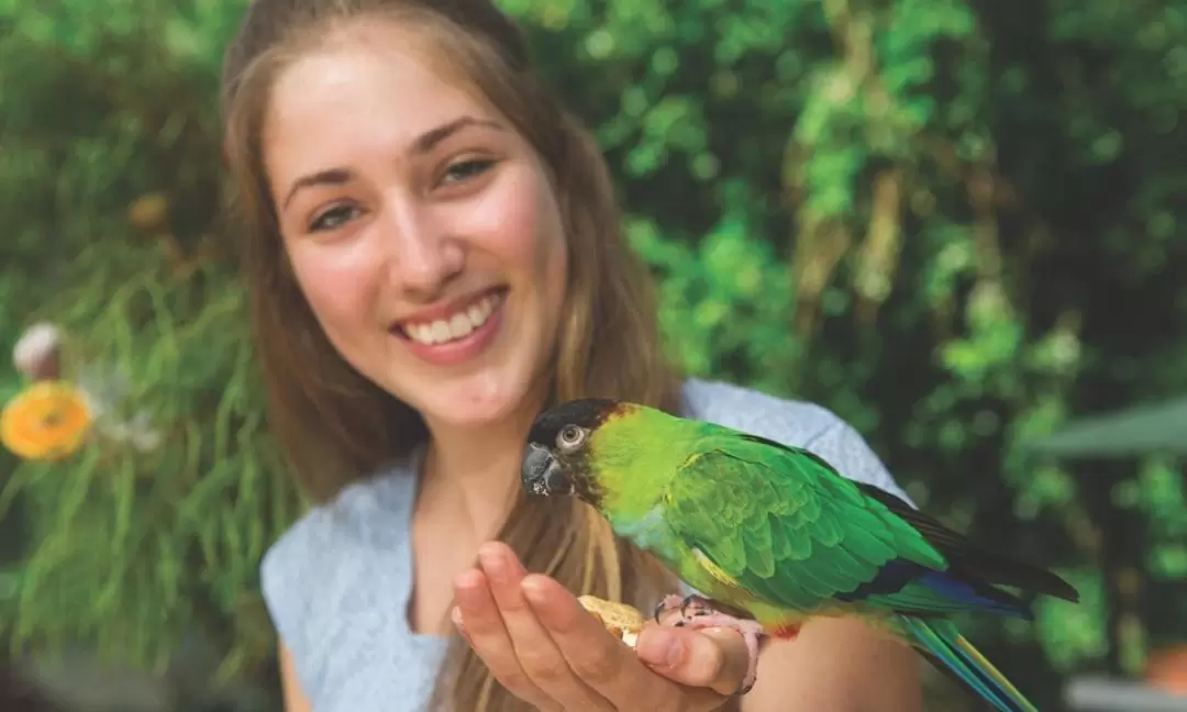 Kuranda Bird World Ticket in Cairns