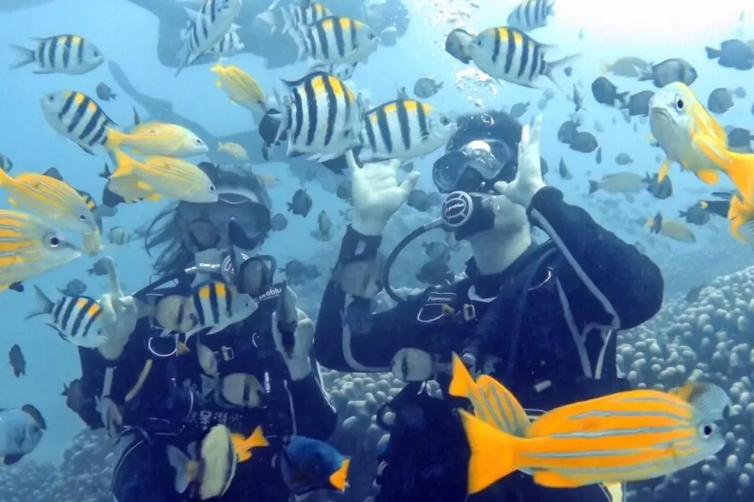 Pingtung｜Kenting Fangdai Diving Club｜PADI OW Examination · Experience Diving · Tourist Diving