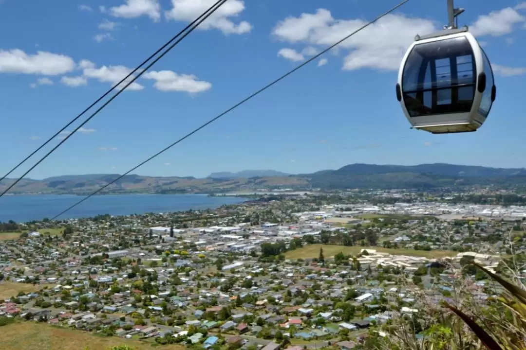 Skyline Gondola and Luge Ticket in Rotorua