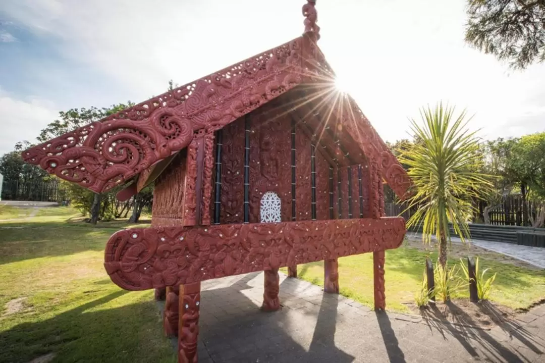 Waitomo and Rotorua Day Tour from Auckland with Te Puia