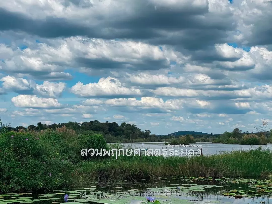 Rayong Aquarium and Suan Son Beach One Day Trip from Pattaya