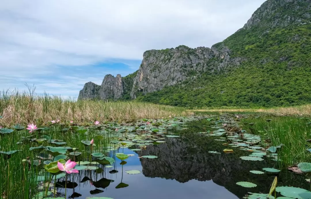 三百峯國家公園（Khao Sam Roi Yod）私人探索之旅（華欣出發）