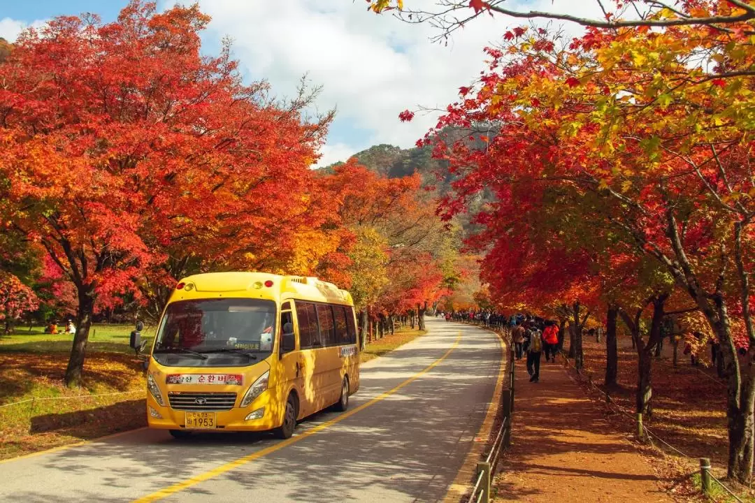 內藏山／雪嶽山國家公園賞楓一日遊