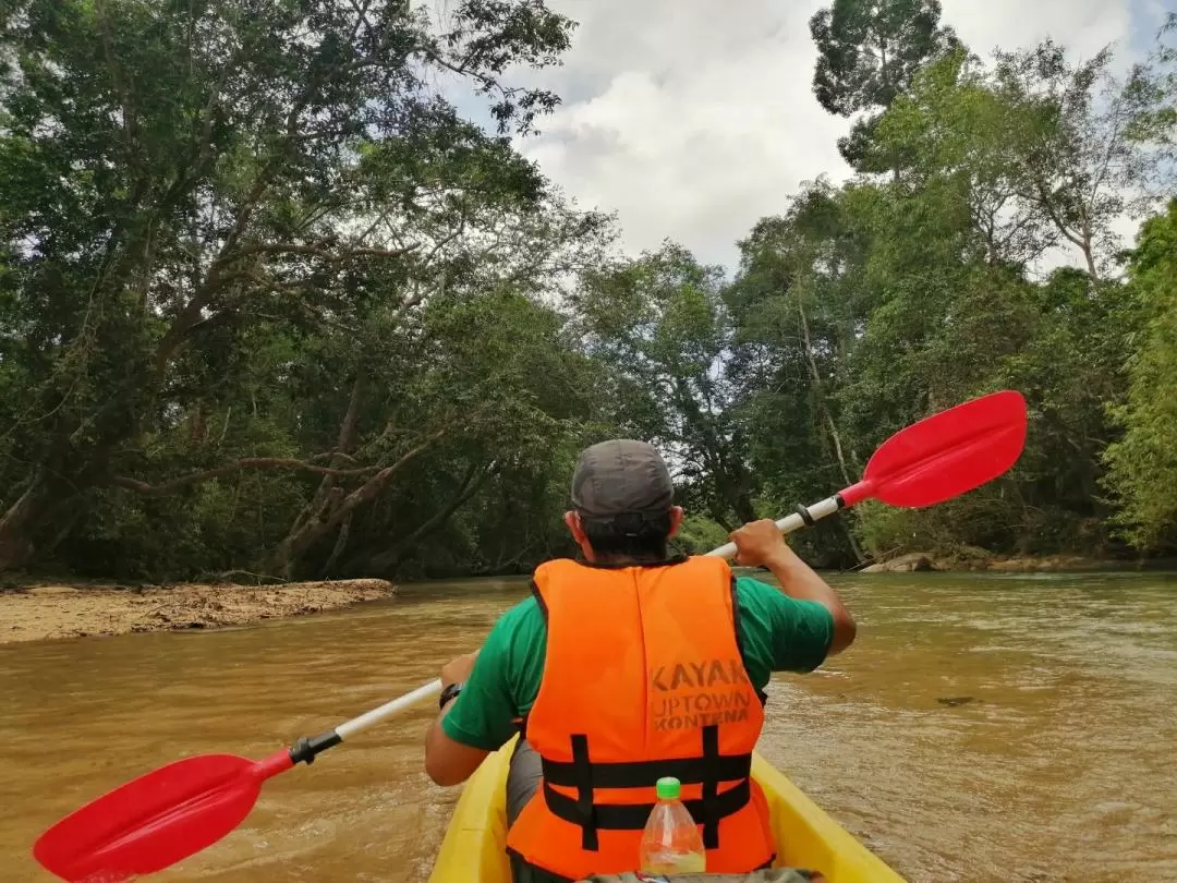 Little Amazon River Kayak Experience in Terengganu