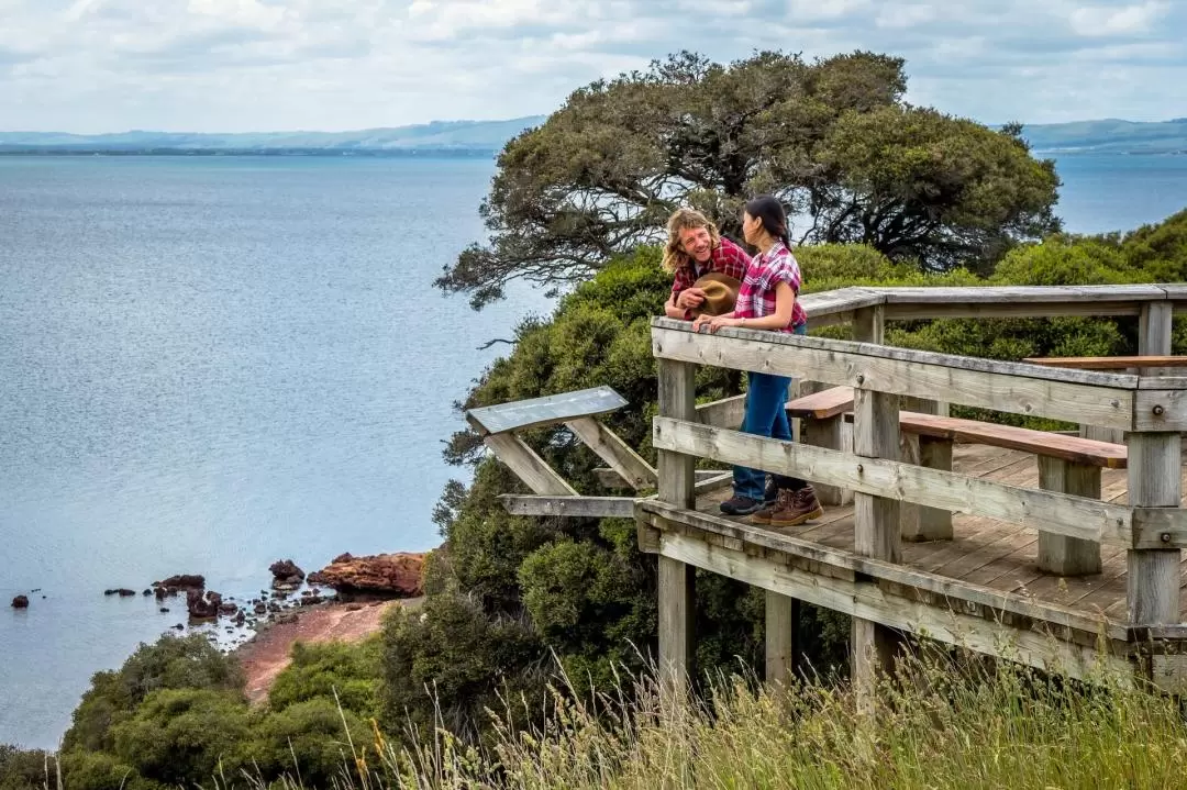 Phillip Island Nature Parks - 4 Park Combo Pass