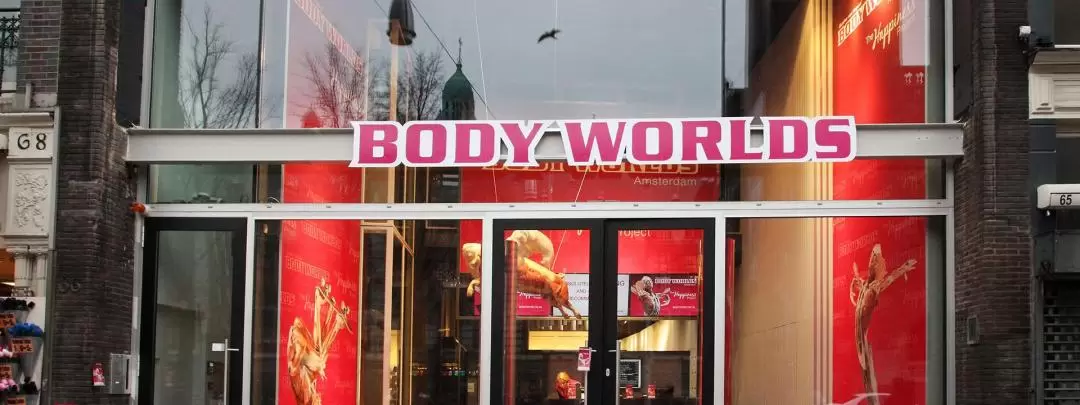 Amsterdam Body Worlds